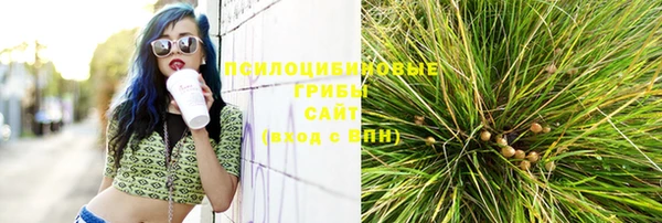 mdpv Киреевск