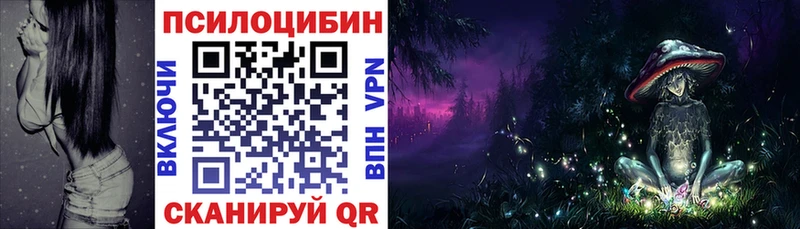 Галлюциногенные грибы Psilocybine cubensis  Купить где  Губкин 